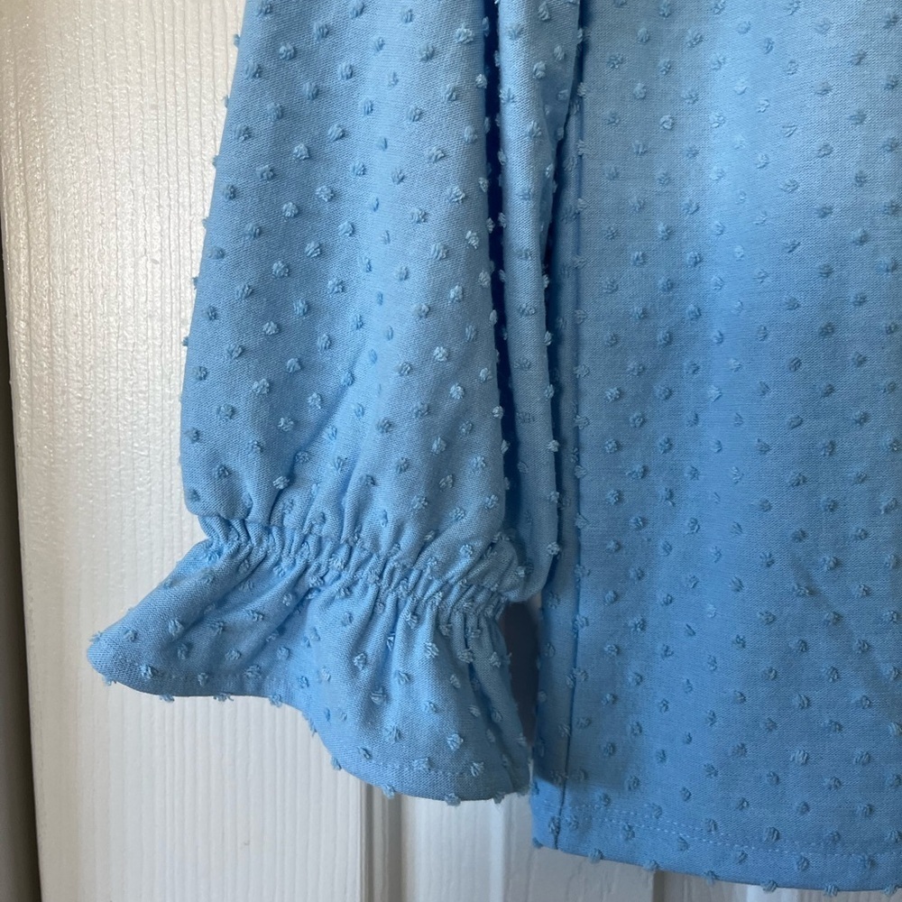 JCrew XS light blue pin dot blouse with ruffle neck and sleeves - Picture 4 of 7